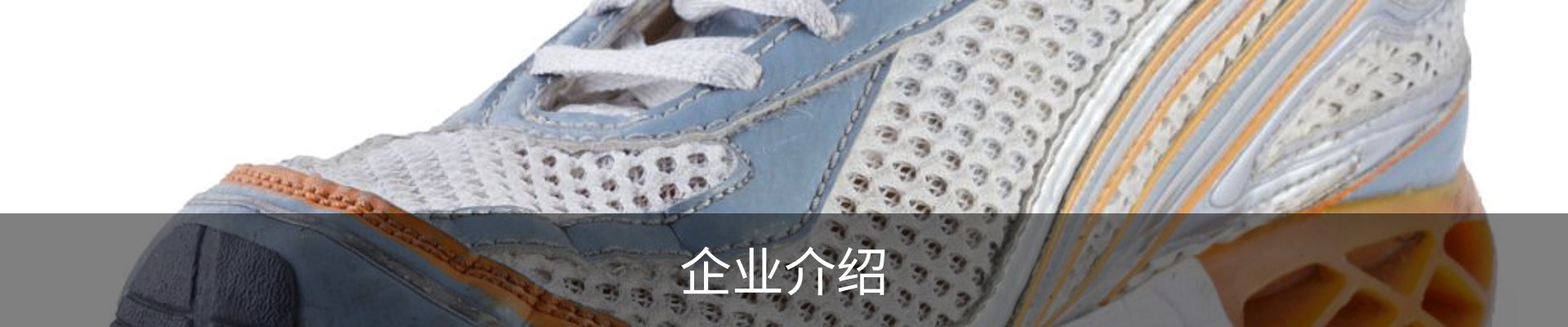 企业介绍